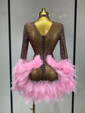 Women Sexy Transparent Stretch Mesh Feathers Stage Performance Costume Singer Nightclub Evening Party Luxury Birthday Dress