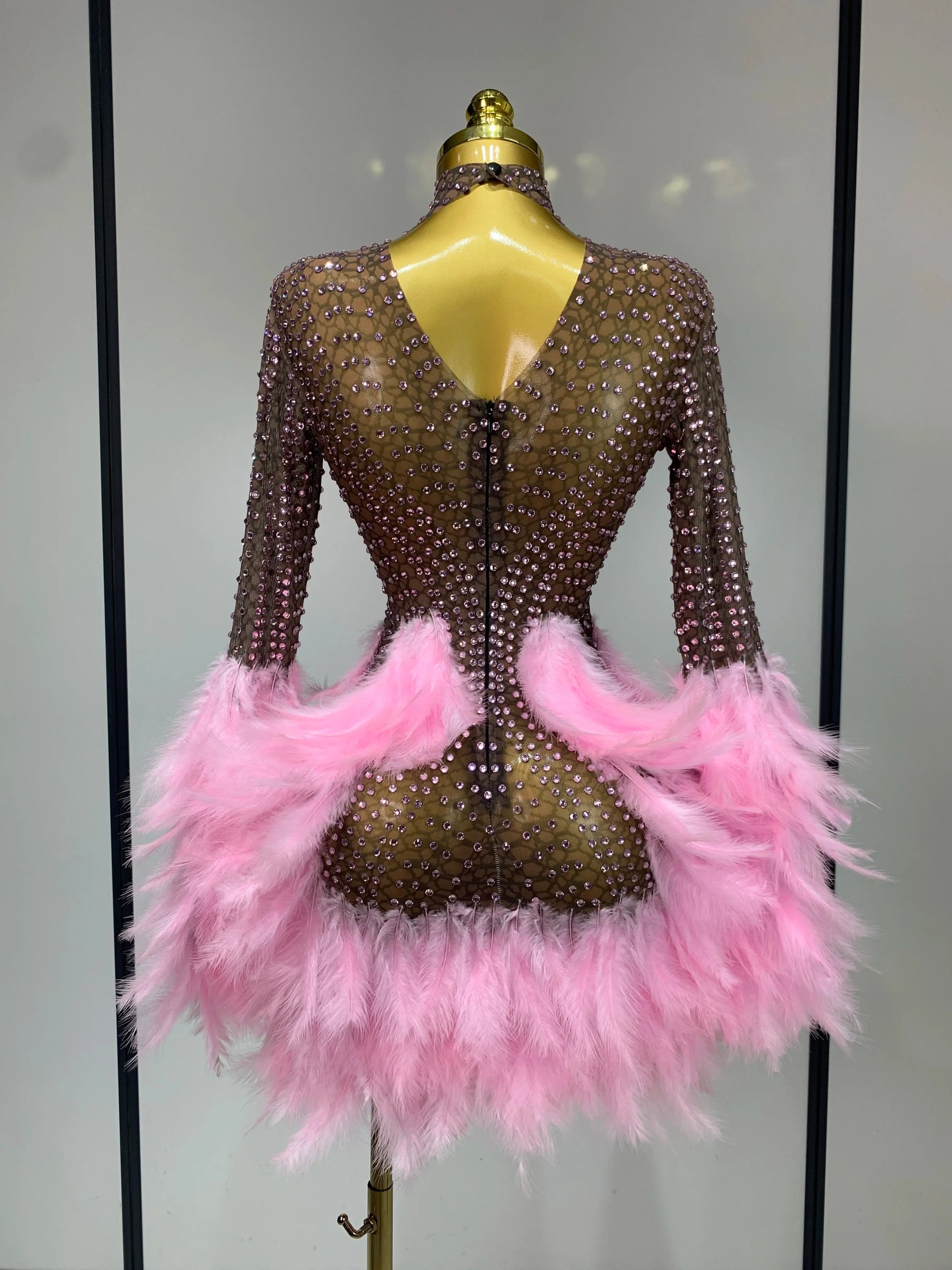 Women Sexy Transparent Stretch Mesh Feathers Stage Performance Costume Singer Nightclub Evening Party Luxury Birthday Dress