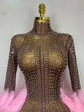 Women Sexy Transparent Stretch Mesh Feathers Stage Performance Costume Singer Nightclub Evening Party Luxury Birthday Dress