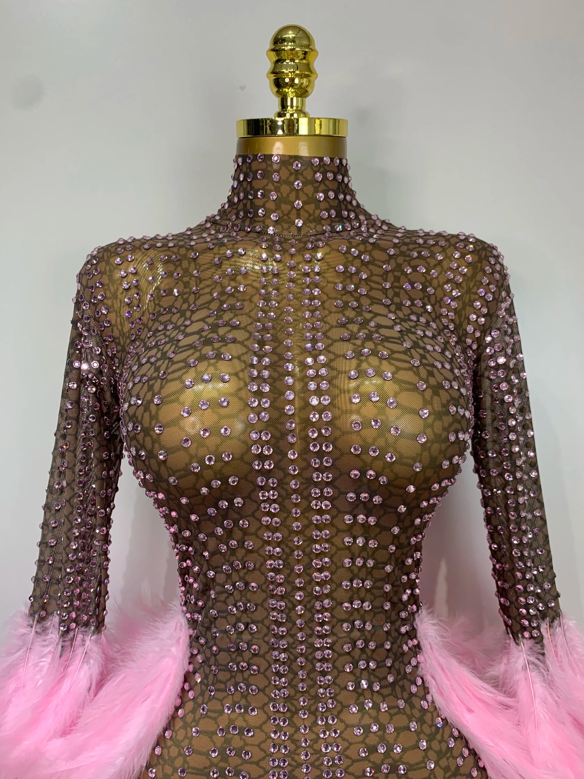 Women Sexy Transparent Stretch Mesh Feathers Stage Performance Costume Singer Nightclub Evening Party Luxury Birthday Dress