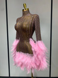 Women Sexy Transparent Stretch Mesh Feathers Stage Performance Costume Singer Nightclub Evening Party Luxury Birthday Dress