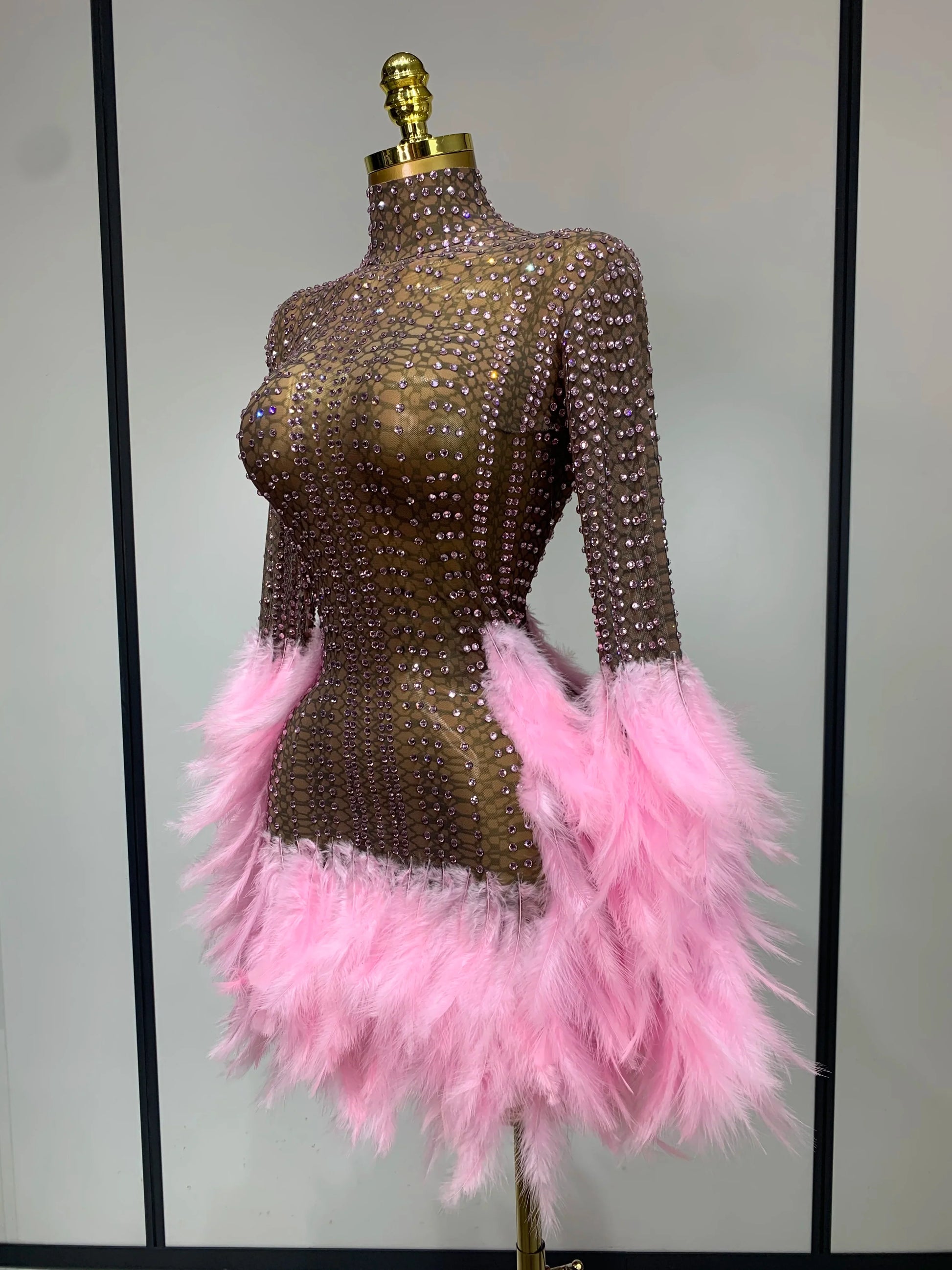 Women Sexy Transparent Stretch Mesh Feathers Stage Performance Costume Singer Nightclub Evening Party Luxury Birthday Dress