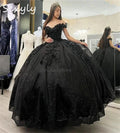 Mexican Black Quinceanera Dresses Charro Elegant 3D Flowers Vestidos De Xv 15 Anos Halloween Costume Photoshoot Horse Customized